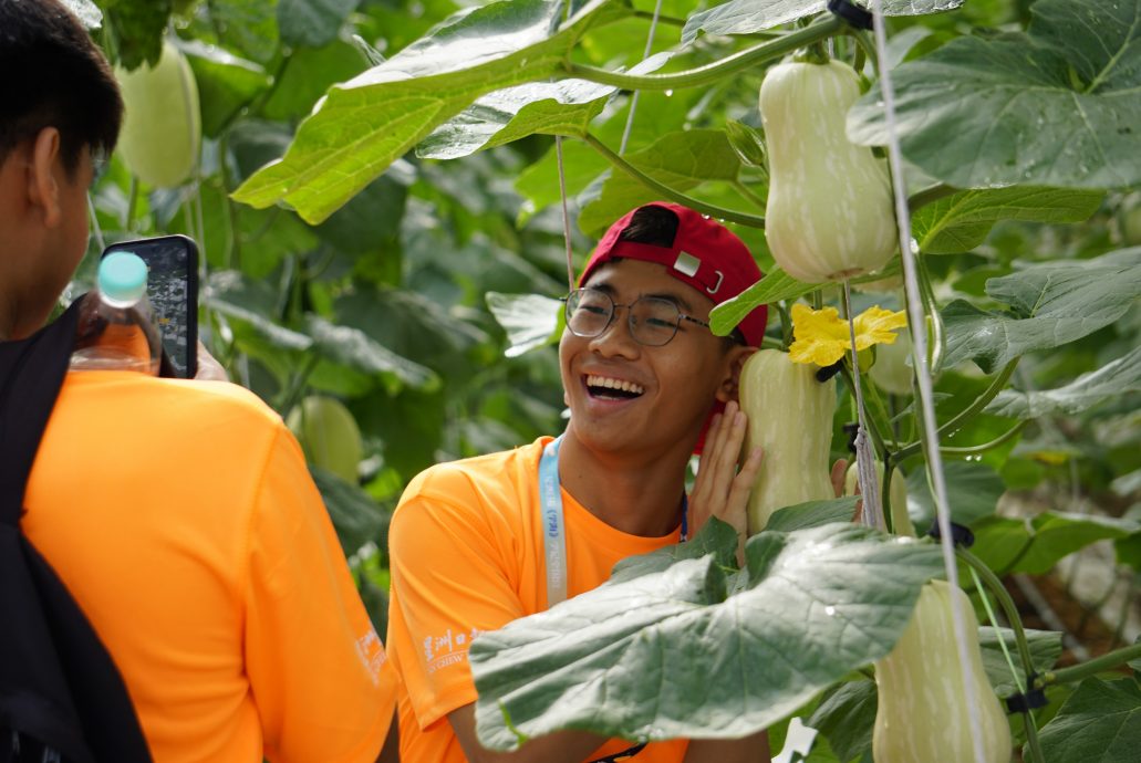 大都会 // 10月15日学海学记专题,七区共用。必下。