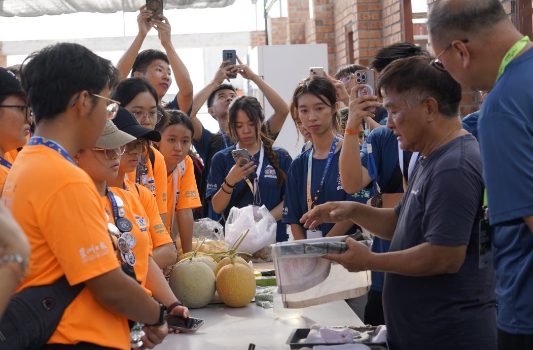 大都会 // 10月15日学海学记专题,七区共用。必下。