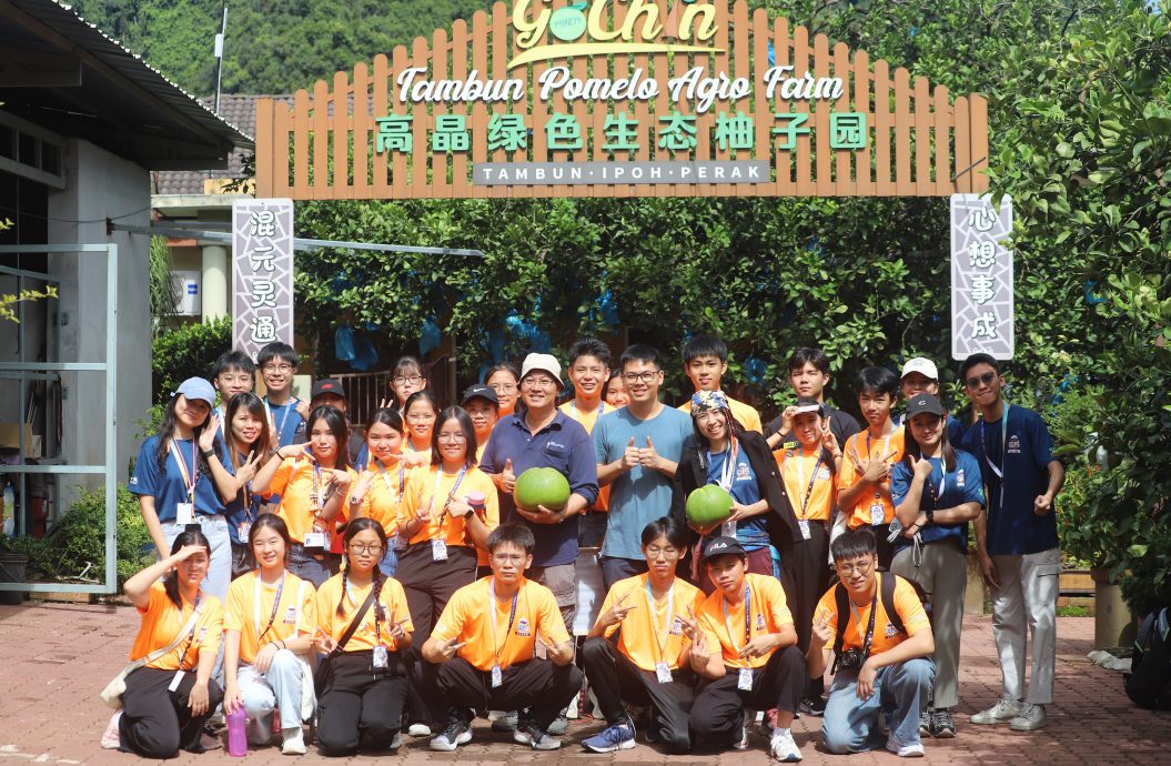 大都会 // 10月15日学海学记专题,七区共用。必下。