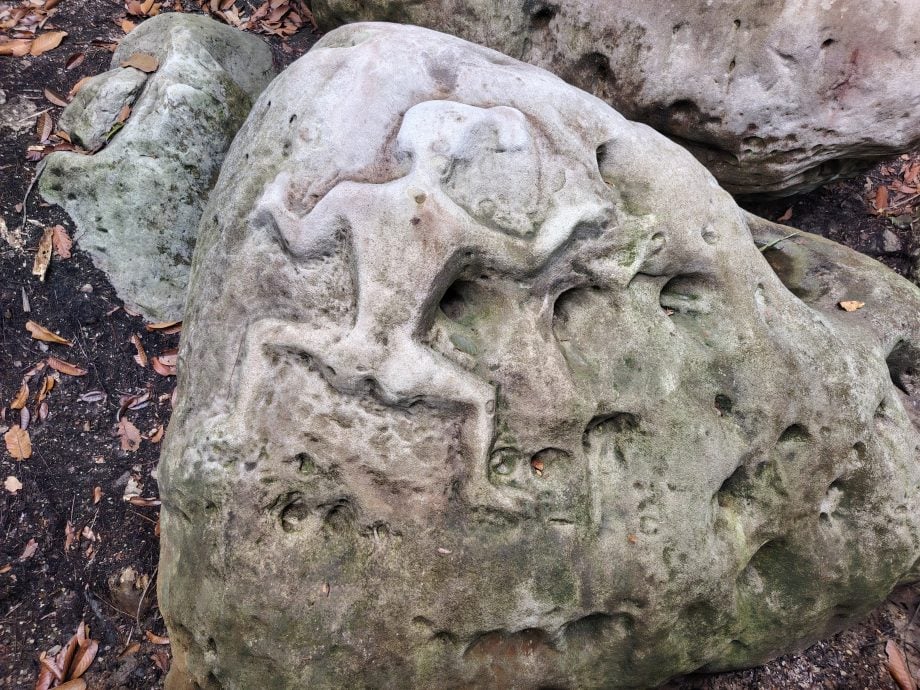 *发现砂拉越：山都望