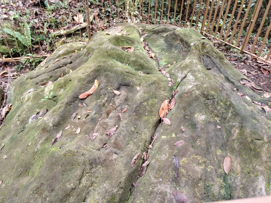 *发现砂拉越：山都望