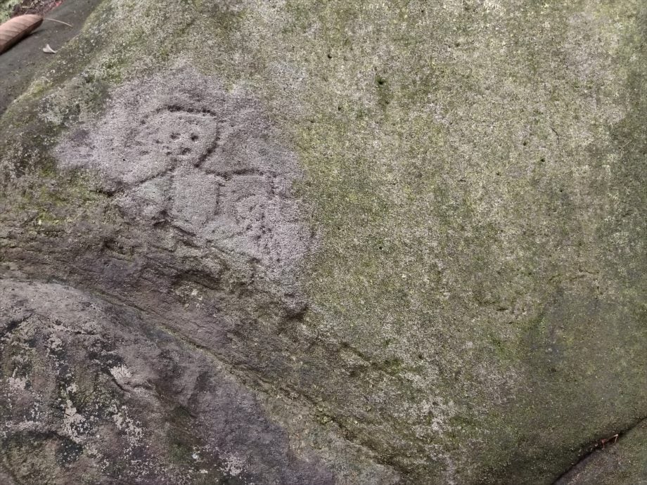 *发现砂拉越：山都望