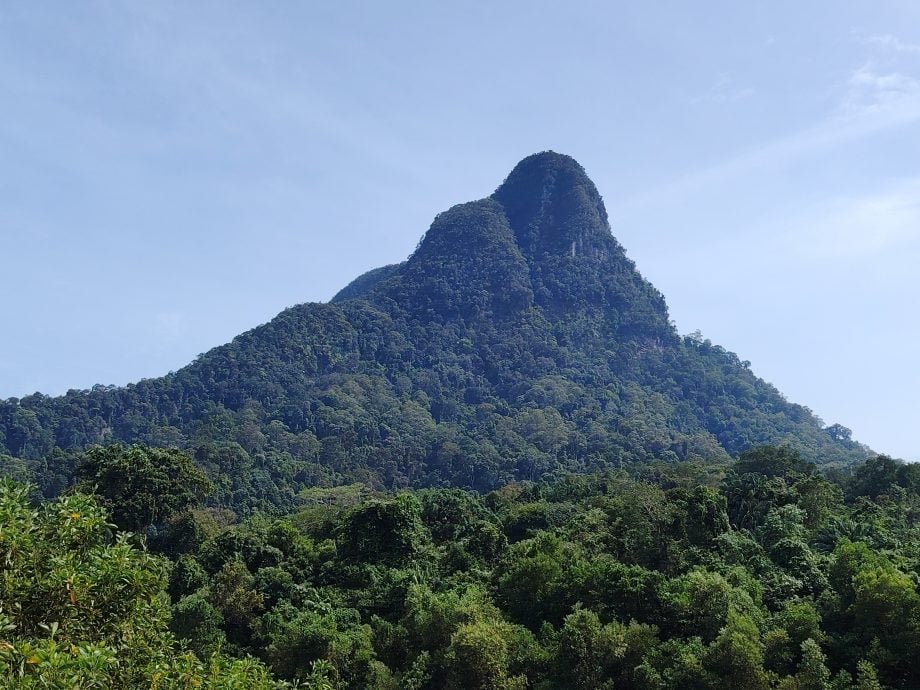 *发现砂拉越：山都望