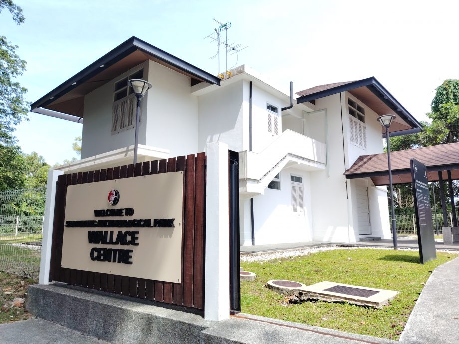 *发现砂拉越：山都望