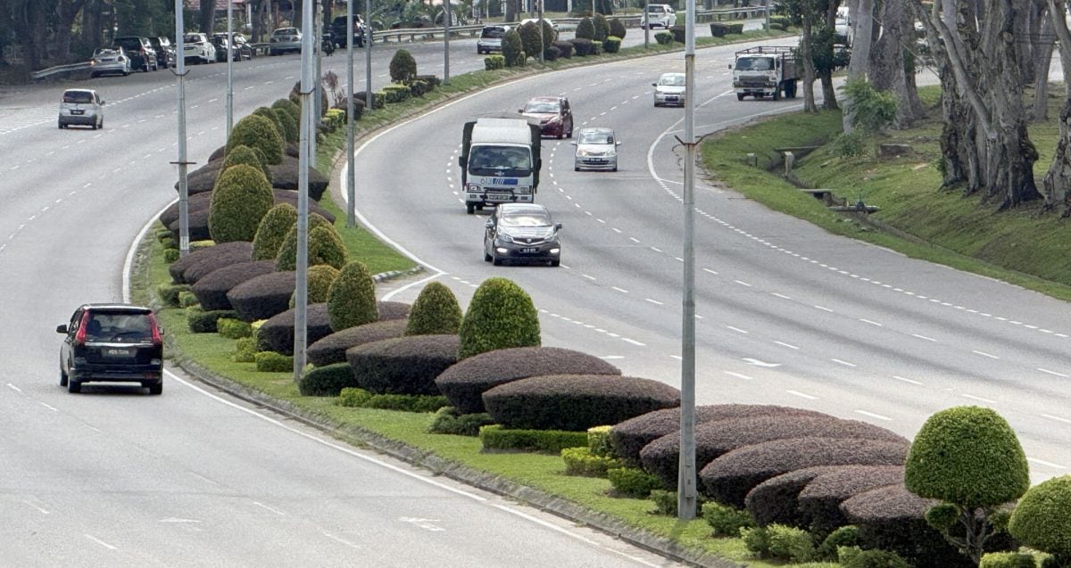 大都会17/10星期五见报【星角摄】(古城稿):交通岛独特图案
