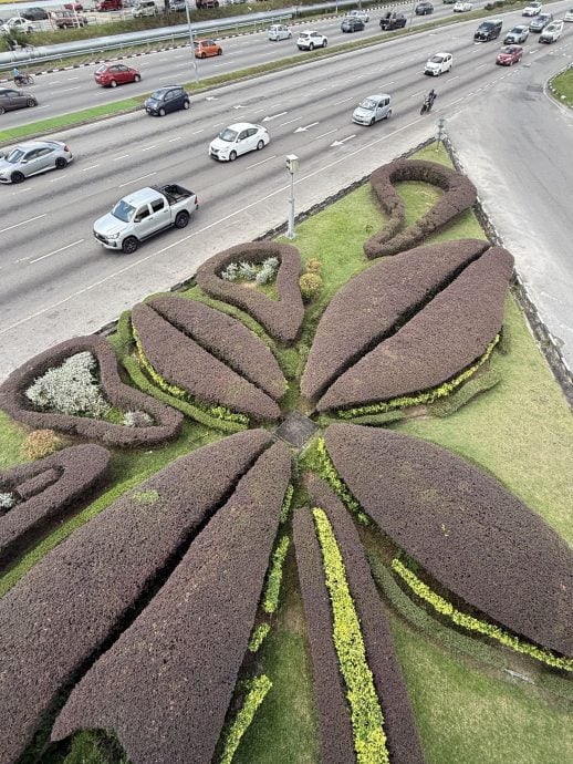 大都会17/10星期五见报【星角摄】(古城稿):交通岛独特图案