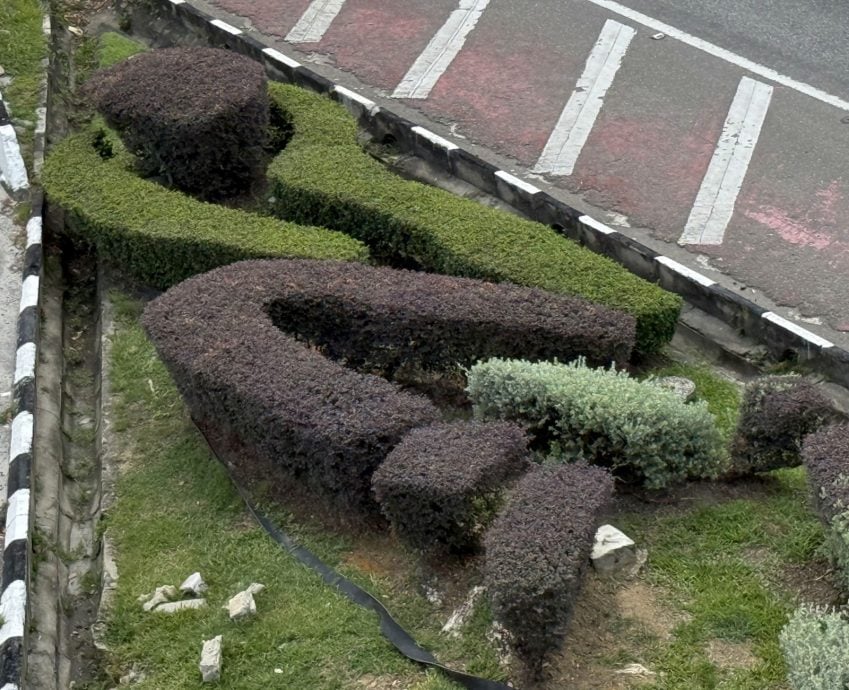 大都会17/10星期五见报【星角摄】(古城稿):交通岛独特图案