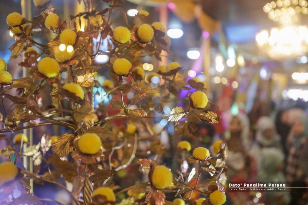 星角摄:丹王室首次展示古代纳贡的“金花”