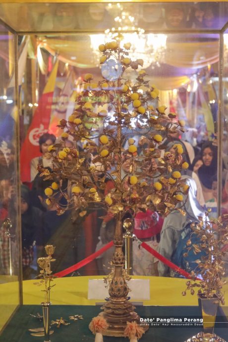 星角摄:丹王室首次展示古代纳贡的“金花”