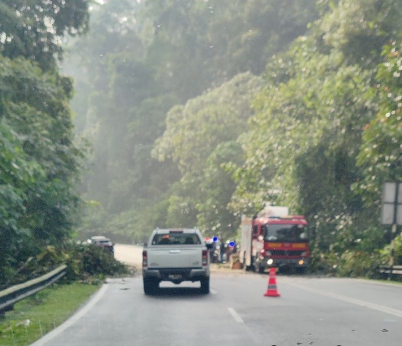 大都会2:树倒拦路 多人迟到/3图
