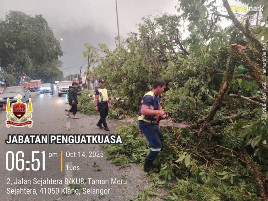 大都会/中路镇风灾安顿18名灾黎