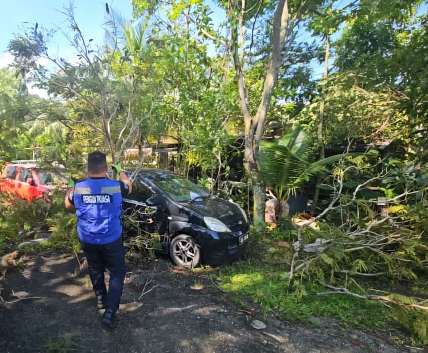 大都会/中路镇风灾安顿18名灾黎
