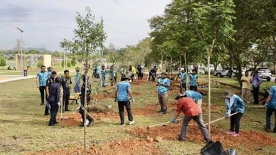 庆升格4周年 完成雪目标  乌雪桃源岭种百树