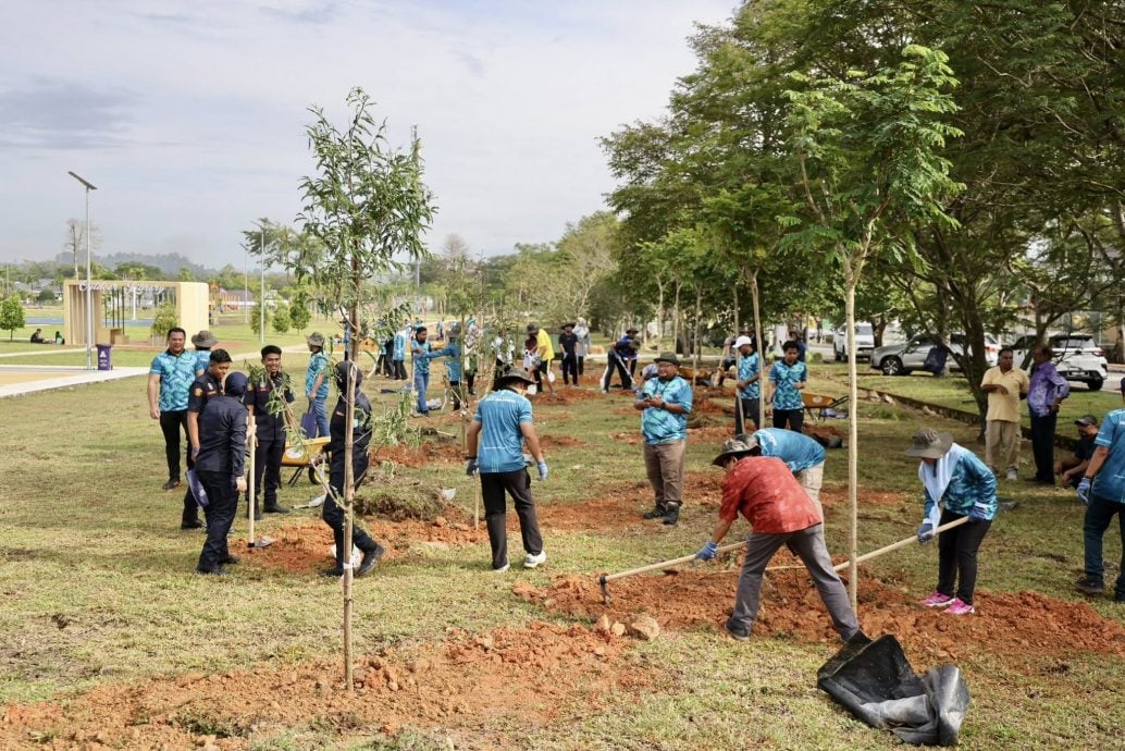大都会:乌雪种百树 庆升格4周年与完成雪州目标/3图