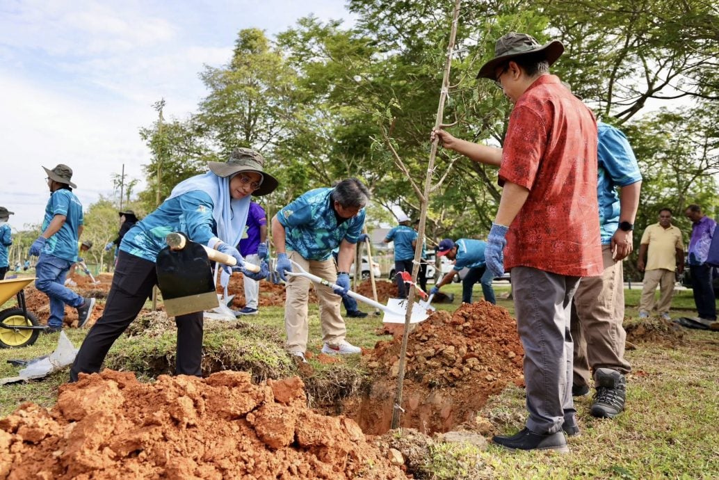 大都会:乌雪种百树 庆升格4周年与完成雪州目标/3图