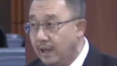 伊党乌雪国会议员建议   大树管理应移交房地部