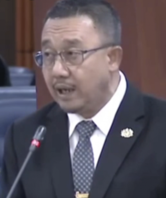 大都会:伊党乌雪国会议员吁大树管理移交房地部/3图