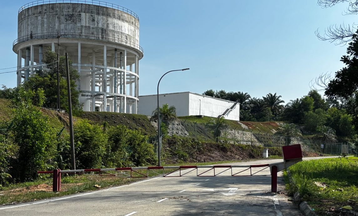 大都会:封路防垃圾虫 水塘路破功/4图