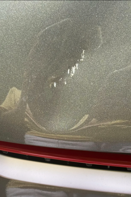 大都会/封面/失常女大闹斯嘉镇 蔡珍莉:莫因麻烦不报案/10图