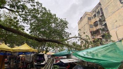 树桠飞砸夜市摊档   小贩手受伤 货车损坏
