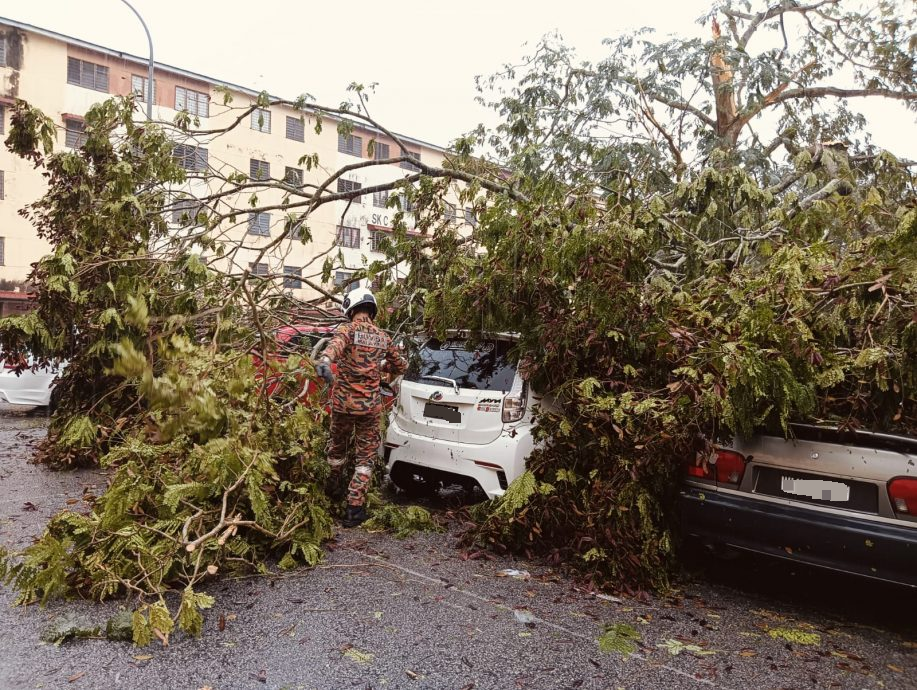 大都会/说亮话/吉隆坡的天气翻云又覆雨/陈佩莉