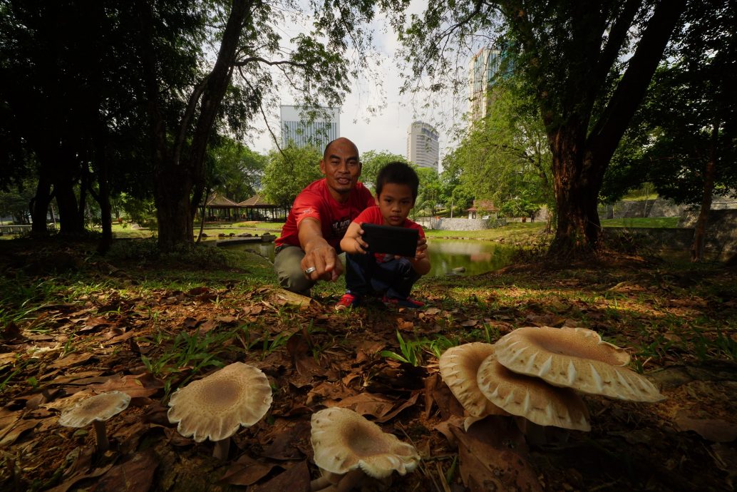 大都会/预编配10日广告/专访沙亚南市长莫哈末弗兹