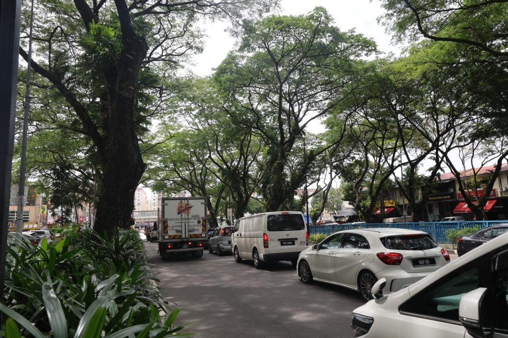 大都会/(主文)林立迎联同商家要求吉隆坡市政局修剪大树记者会