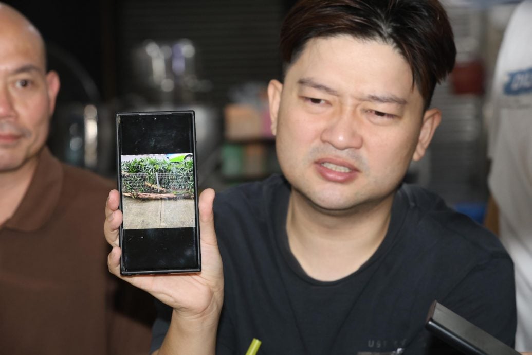 大都会/(主文)林立迎联同商家要求吉隆坡市政局修剪大树记者会