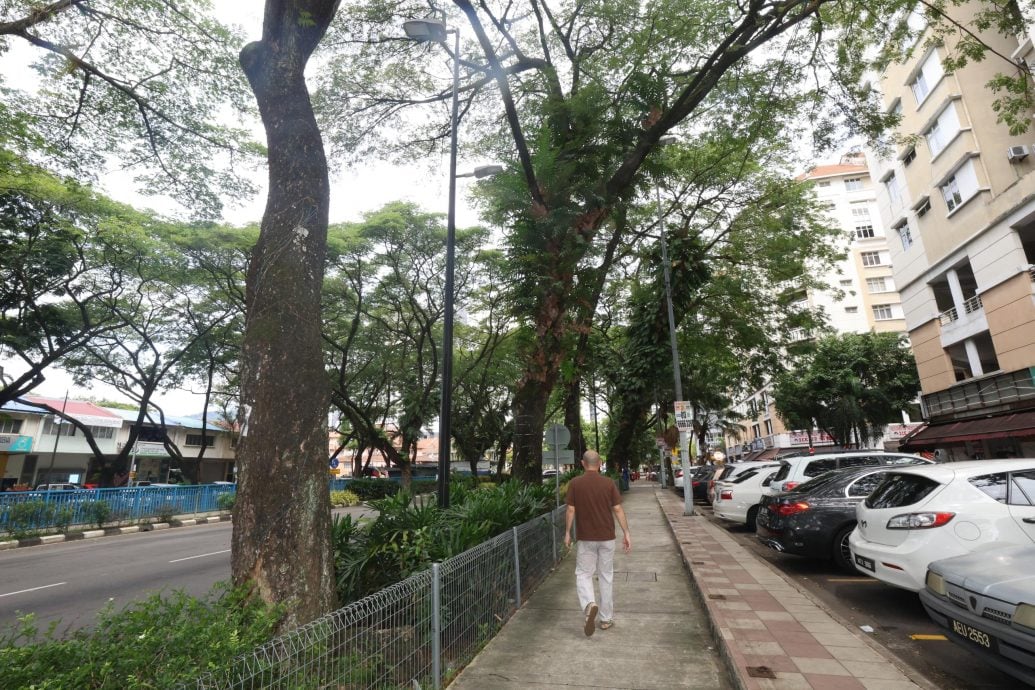 大都会/(主文)林立迎联同商家要求吉隆坡市政局修剪大树记者会