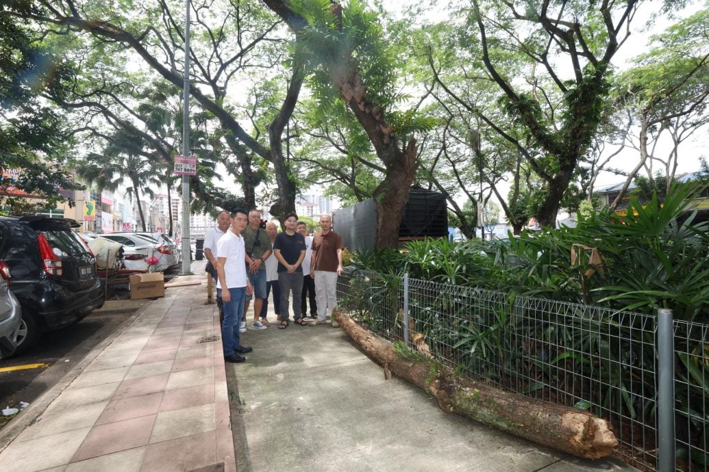 大都会/(主文)林立迎联同商家要求吉隆坡市政局修剪大树记者会