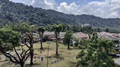 公寓传虎啸声 忧!    居民:减少户外活动但日常照旧