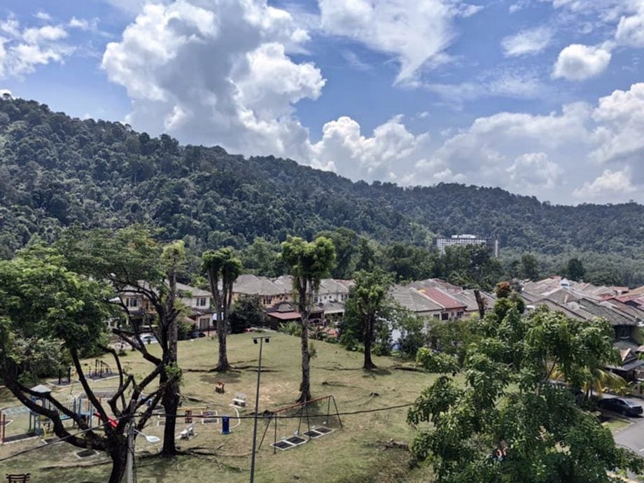大都会(封面主文)-安邦优景柏兰岭公寓传虎啸 居民虽忧心但日常照过/7图