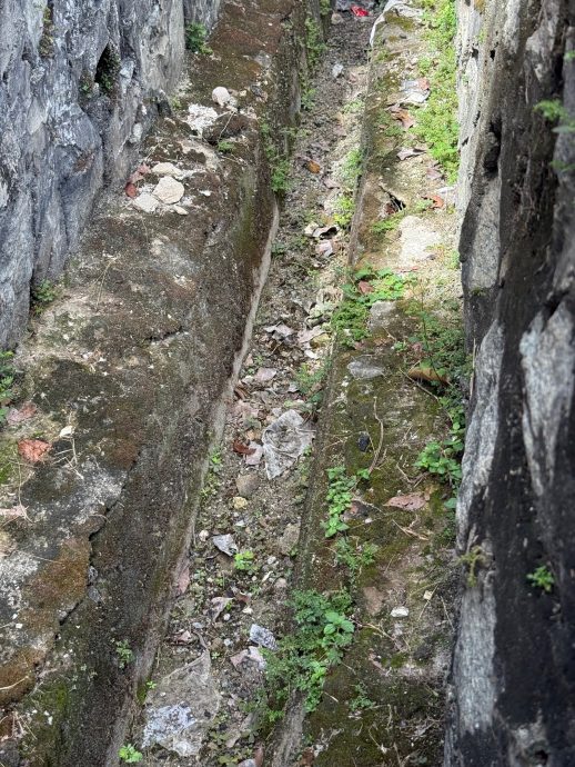 大都会（封面副文）:政府承包商沟清一半 年长者怕大水淹屋/4图