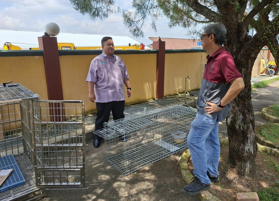 大都会（版2头）／弃养流浪犬咬伤女童狂追晨运者引人身安全，设狗笼人道方式捕捉处理／3图