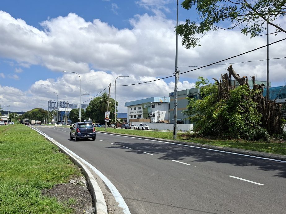 大都会／81万重铺蕉赖再也大路／2图