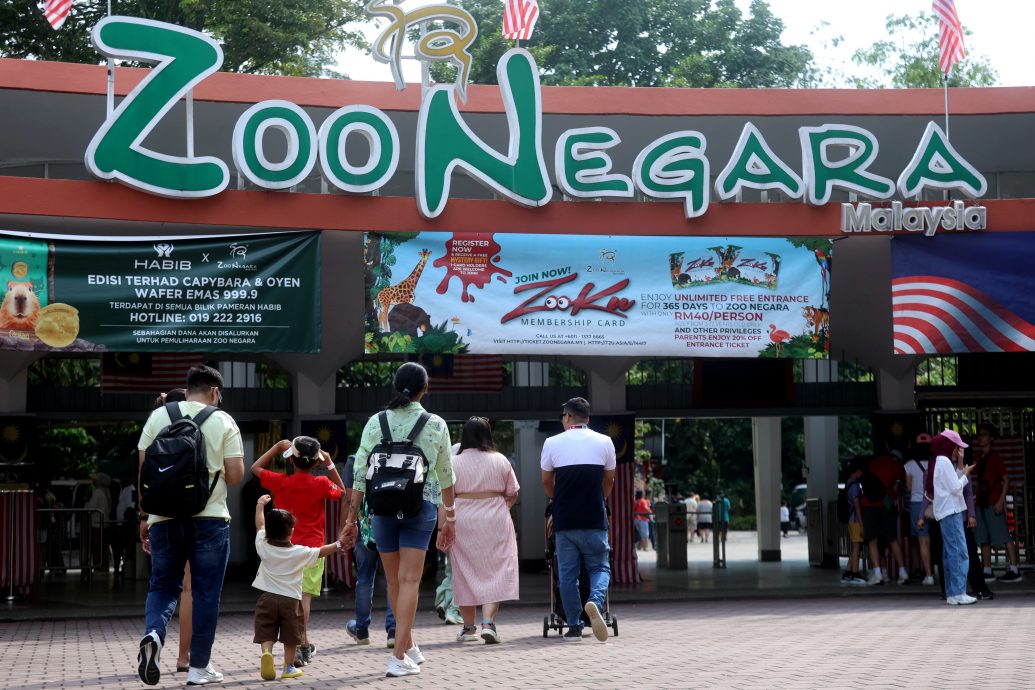 大都会/ME03头/国家动物园土地出售事件的关注联署文告