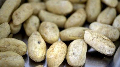 人气美食 | 祖传秘方炸料飘香三代  鍾记料粉 卜卜脆