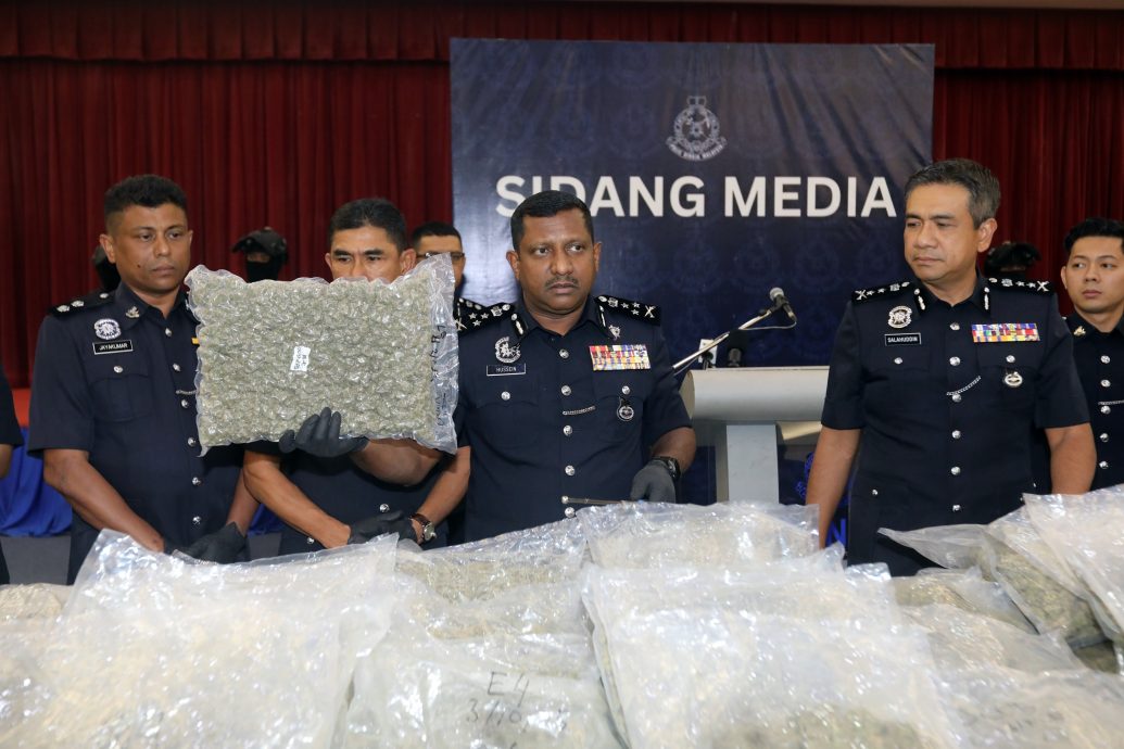 大麻砖运欧洲国家牟4倍以上利润·毒贩活跃2个月落网警方起获逾6百万大麻