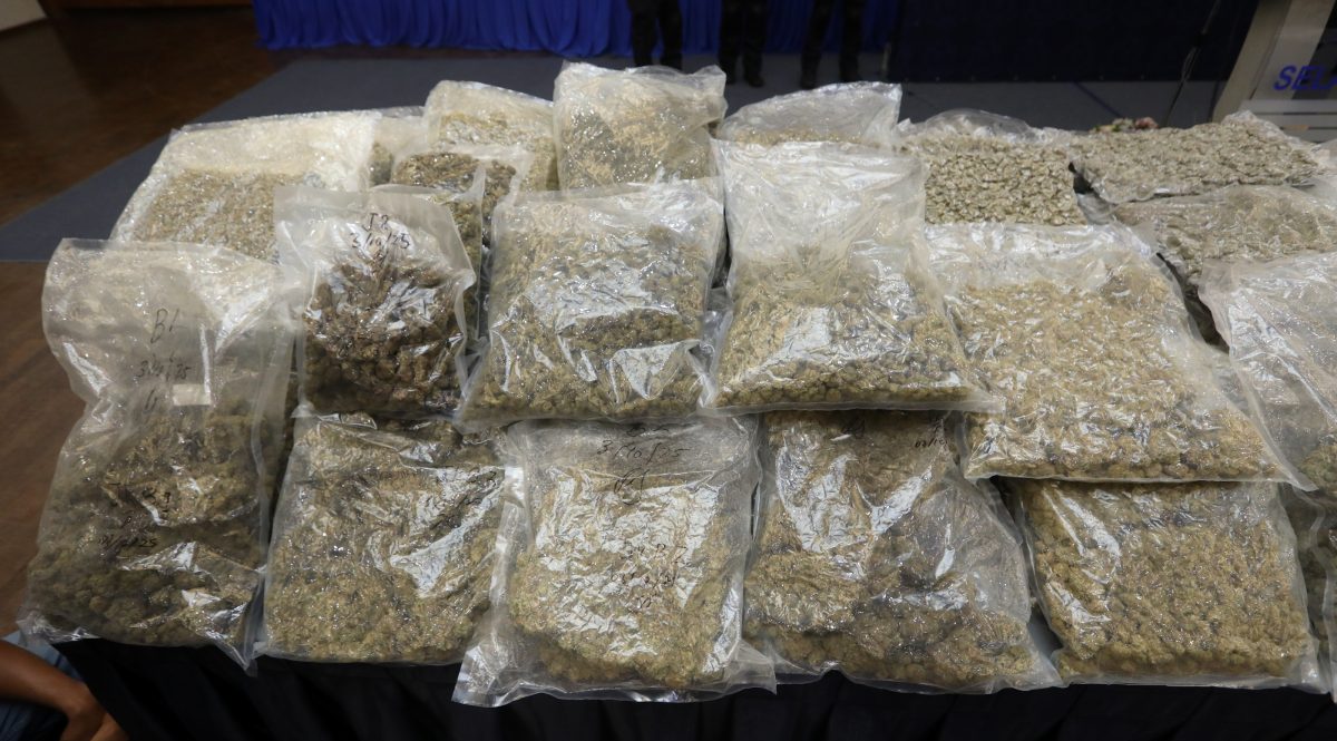 大麻砖运欧洲国家牟4倍以上利润·毒贩活跃2个月落网警方起获逾6百万大麻