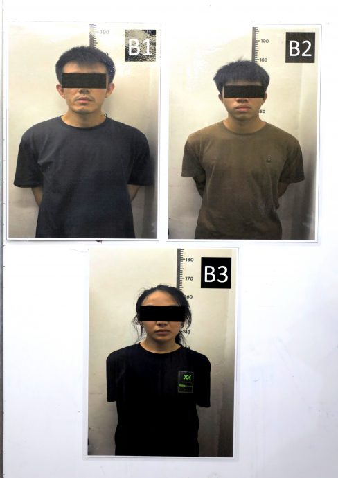 大麻砖运欧洲国家牟4倍以上利润·毒贩活跃2个月落网警方起获逾6百万大麻