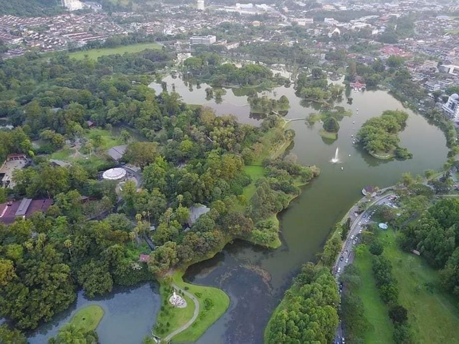 太平湖公园保育工程耗资1000万 12月展开后年首季竣工  ​