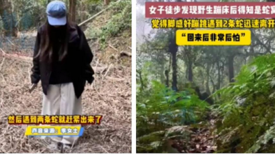 她以为踩到“弹跳床”开心狂跳!下一秒发现竟是蛇窝 网惊呼:你命真大