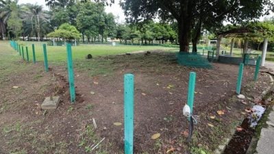 万达镇中央公园风波再掀不满  “狗狗松绑区”暂停拆除