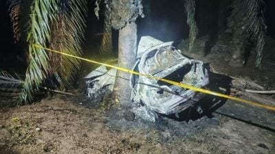 汽车撞树燃烧  一男一女当场亡