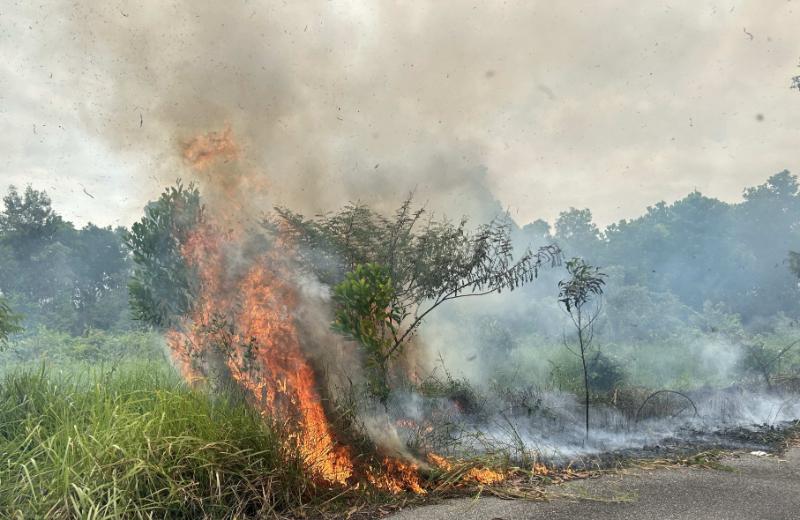 边佳兰五湾野火 近5公顷草地及1间储藏室烧毁