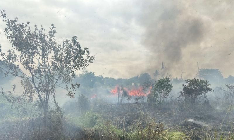 边佳兰五湾野火 近5公顷草地及1间储藏室烧毁