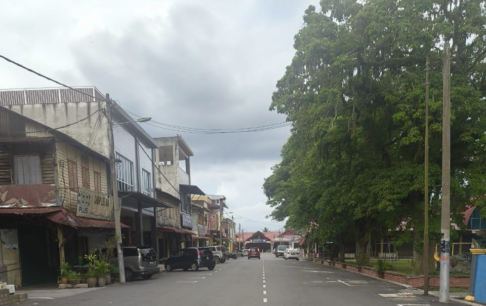 **已签发**柔︰封面:三合港怪味真相大白!原来是油棕园里发酵技术治树病