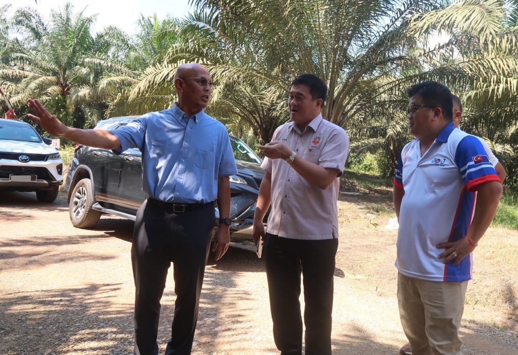 **已签发**柔︰封面:三合港怪味真相大白!原来是油棕园里发酵技术治树病