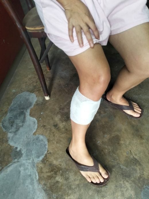 **已签发**柔:巴口新村流浪狗多次袭击人 麻市会周三派队诱捕