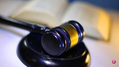 冒充狮城官员行骗  大马男子被捕